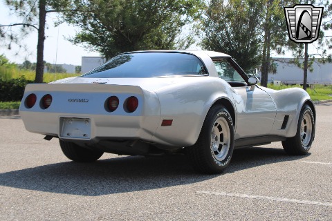 1981 Chevrolet Corvette image 19