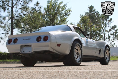 1981 Chevrolet Corvette image 20