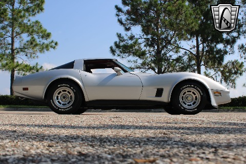 1981 Chevrolet Corvette image 23