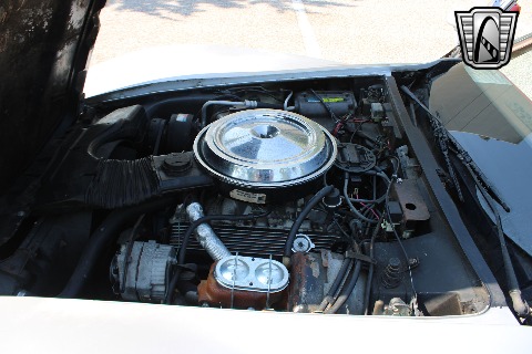 1981 Chevrolet Corvette image 103