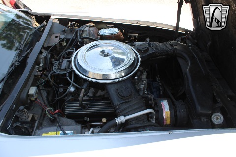 1981 Chevrolet Corvette image 104