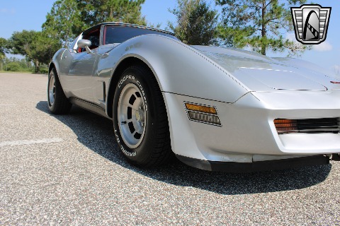 1981 Chevrolet Corvette image 28