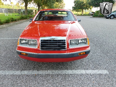 1986 Ford Thunderbird image 3