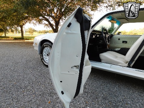 1977 Pontiac Trans Am image 57