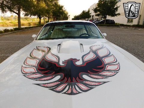 1977 Pontiac Trans Am image 32