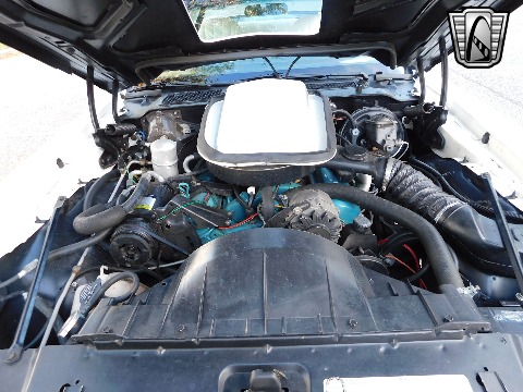 1977 Pontiac Trans Am image 97