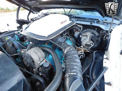 1977 Pontiac Trans Am image 99