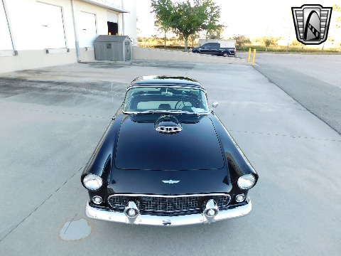 1956 Ford Thunderbird image 142