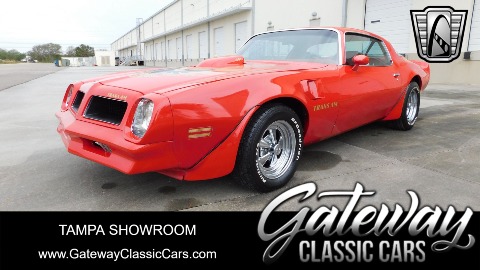 1981 Pontiac Firebird image 2