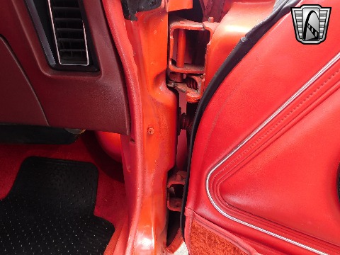 1981 Pontiac Firebird image 81