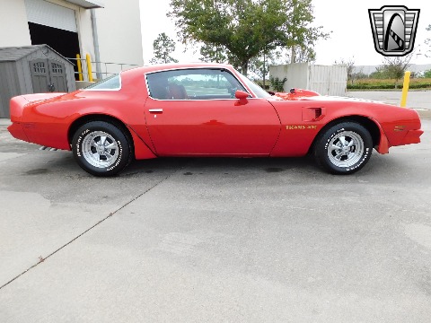 1981 Pontiac Firebird image 4