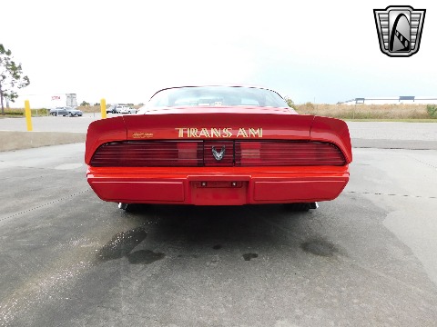 1981 Pontiac Firebird image 5