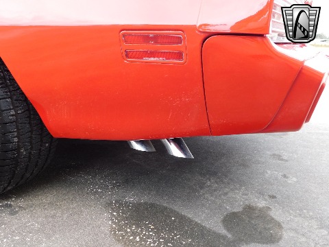 1981 Pontiac Firebird image 57