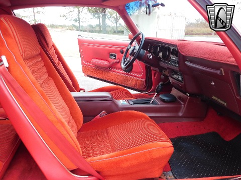 1981 Pontiac Firebird image 83