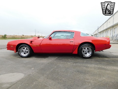 1981 Pontiac Firebird image 6