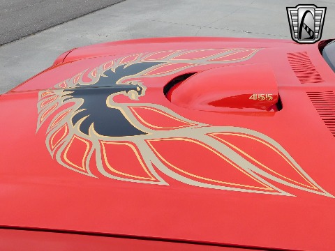 1981 Pontiac Firebird image 32