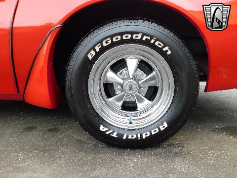 1981 Pontiac Firebird image 58