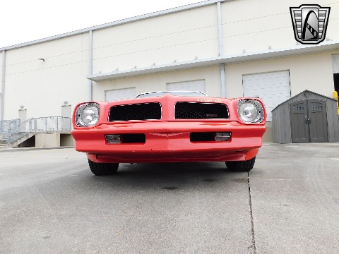 1981 Pontiac Firebird image 7