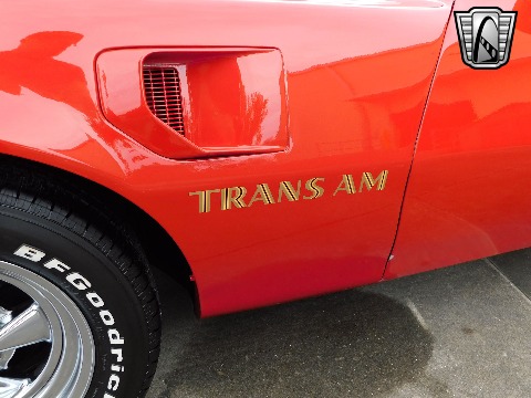 1981 Pontiac Firebird image 33