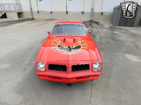 1981 Pontiac Firebird image 8