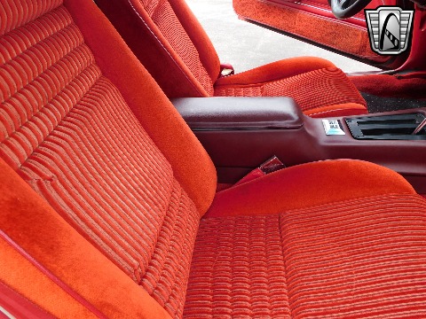 1981 Pontiac Firebird image 86