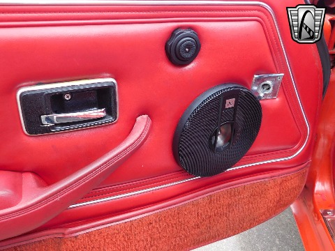 1981 Pontiac Firebird image 61