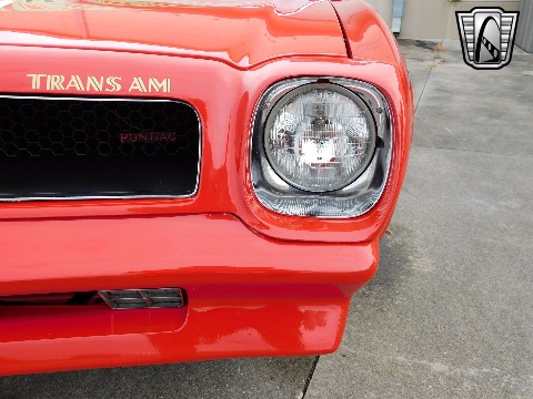 1981 Pontiac Firebird image 36