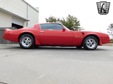 1981 Pontiac Firebird image 11