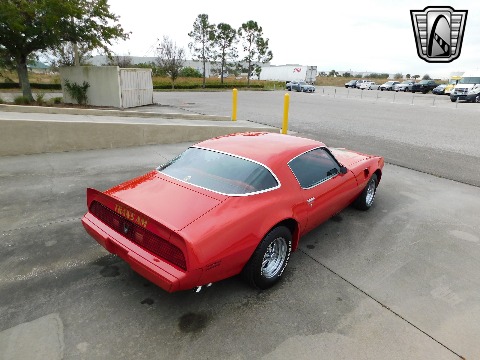 1981 Pontiac Firebird image 13
