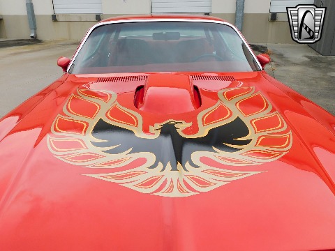 1981 Pontiac Firebird image 40