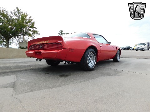 1981 Pontiac Firebird image 15