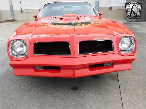 1981 Pontiac Firebird image 41