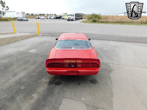1981 Pontiac Firebird image 17