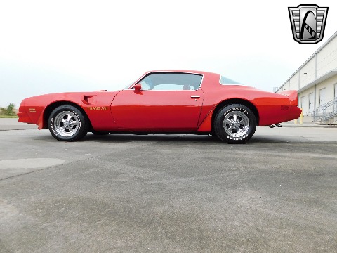 1981 Pontiac Firebird image 21