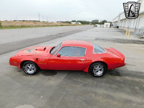 1981 Pontiac Firebird image 22