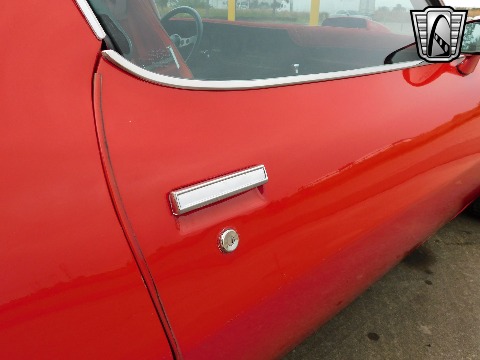 1981 Pontiac Firebird image 49