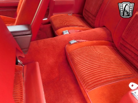 1981 Pontiac Firebird image 75