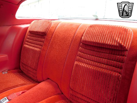 1981 Pontiac Firebird image 76