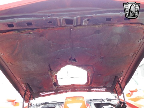 1981 Pontiac Firebird image 102