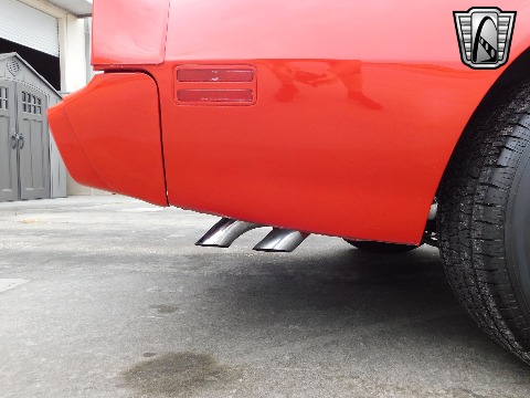 1981 Pontiac Firebird image 53