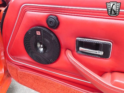 1981 Pontiac Firebird image 79