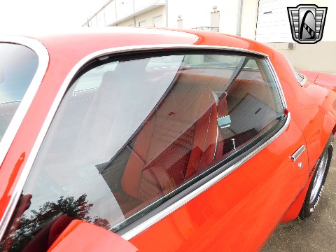 1981 Pontiac Firebird image 28