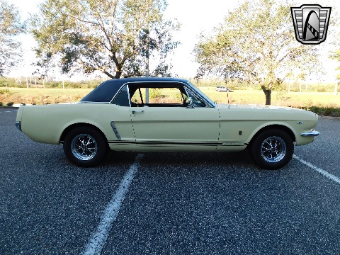 1965 Ford Mustang image 4