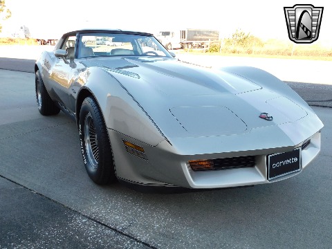 1982 Chevrolet Corvette image 10