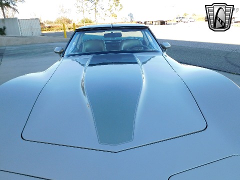 1982 Chevrolet Corvette image 41