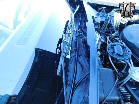 1982 Chevrolet Corvette image 101