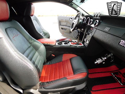 2008 Ford Mustang image 99