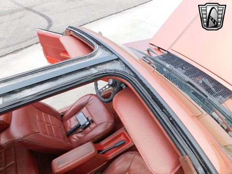 1982 Mercury Capri image 117