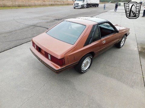 1982 Mercury Capri image 14