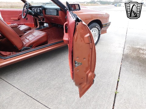 1982 Mercury Capri image 79